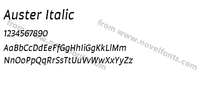 Auster ItalicPreview