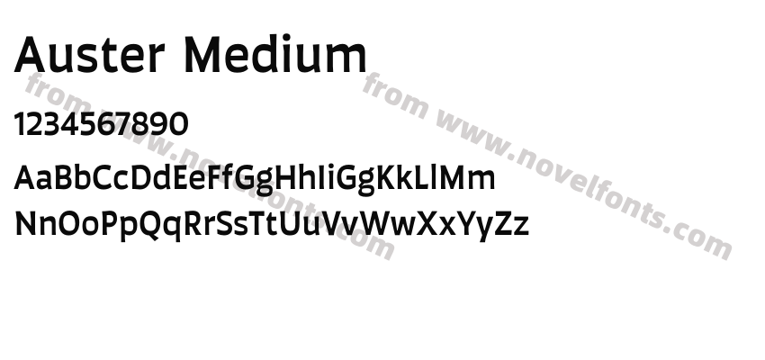 Auster MediumPreview