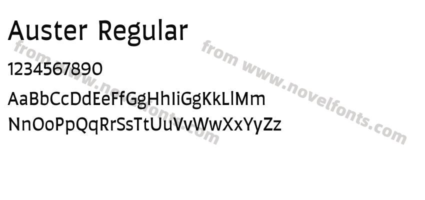 Auster RegularPreview