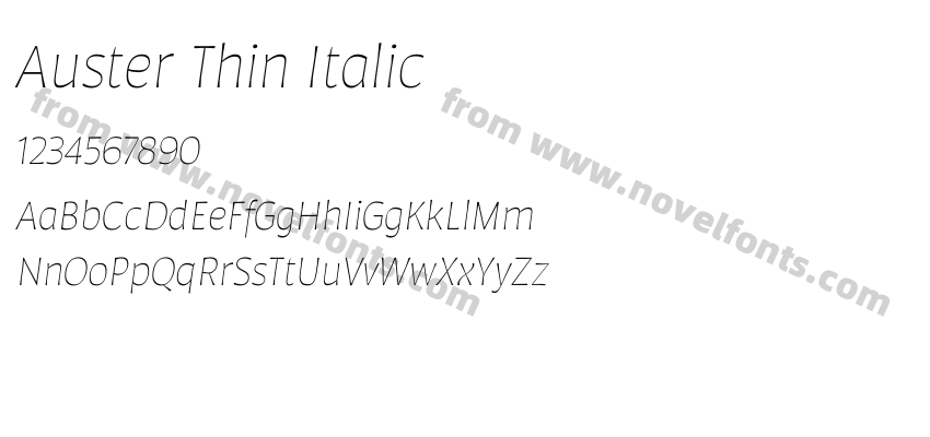 Auster Thin ItalicPreview
