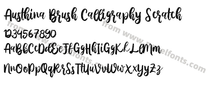 Austhina Brush Calligraphy ScratchPreview