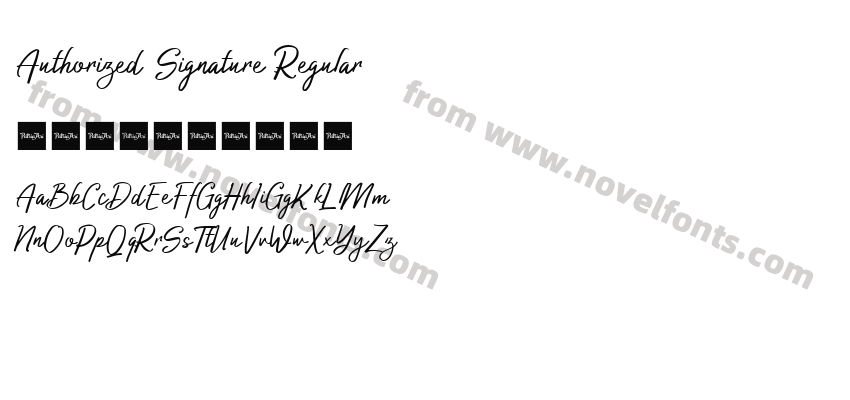 Authorized Signature RegularPreview