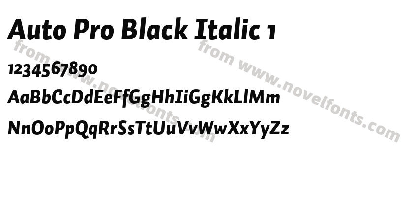 Auto Pro Black Italic 1Preview