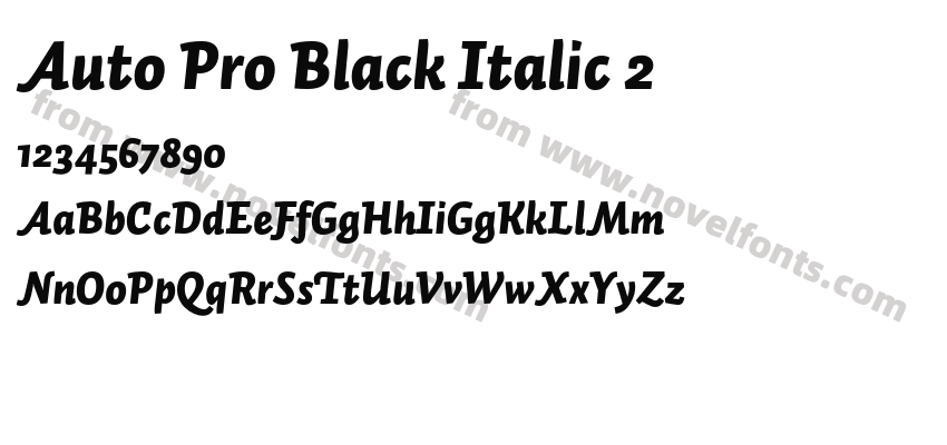 Auto Pro Black Italic 2Preview