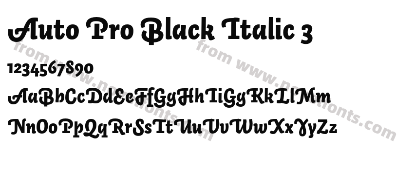 Auto Pro Black Italic 3Preview