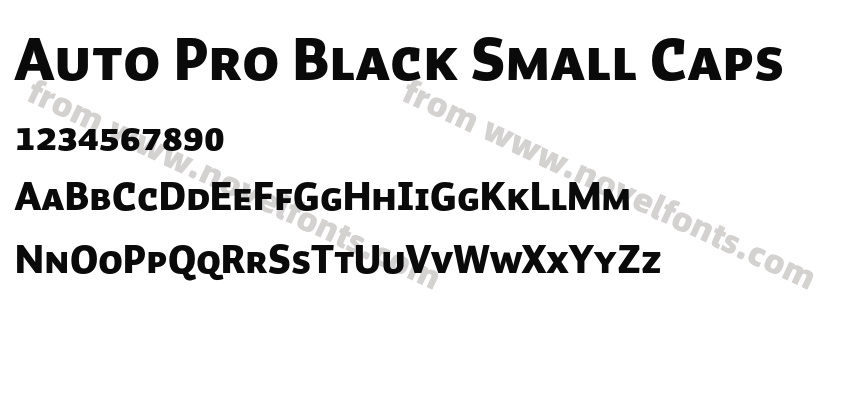 Auto Pro Black Small CapsPreview