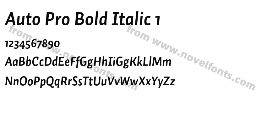 Auto Pro Bold Italic 1Preview