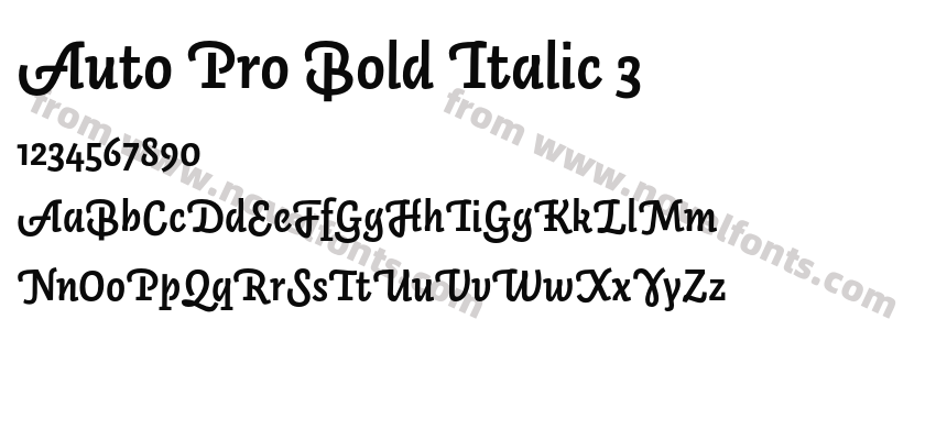 Auto Pro Bold Italic 3Preview