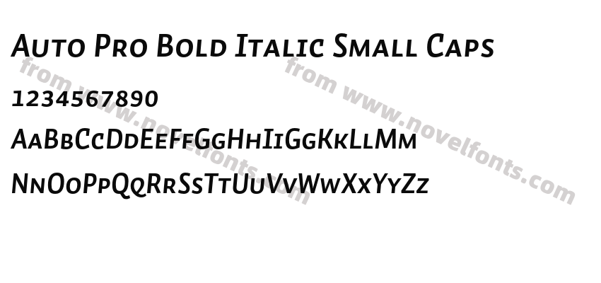 Auto Pro Bold Italic Small CapsPreview