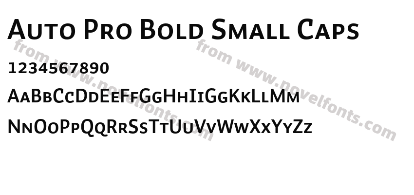 Auto Pro Bold Small CapsPreview