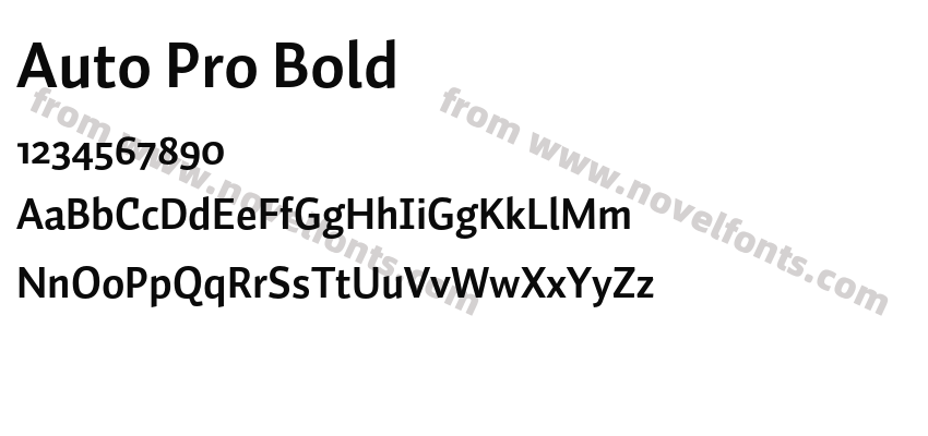 Auto Pro BoldPreview