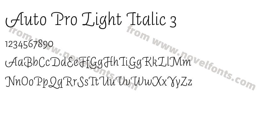 Auto Pro Light Italic 3Preview