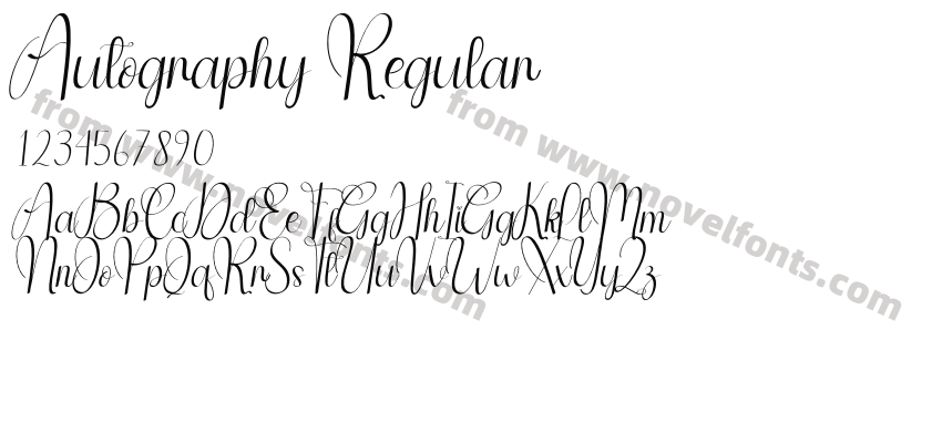Autography RegularPreview