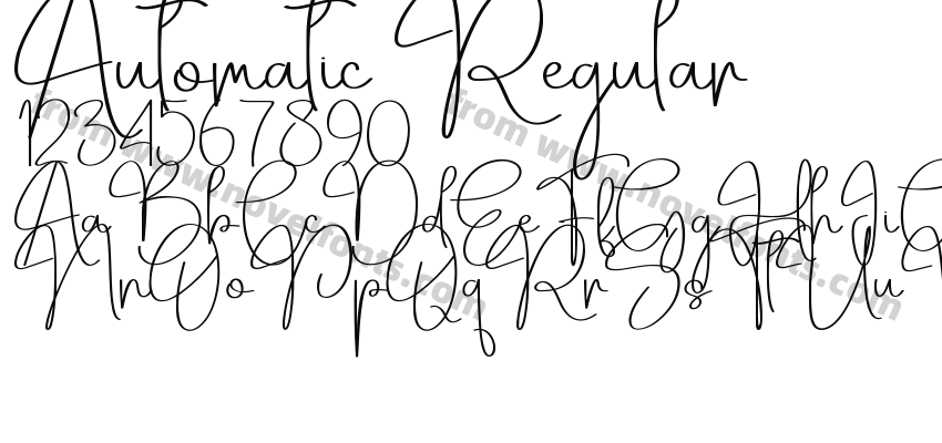 Automatic RegularPreview