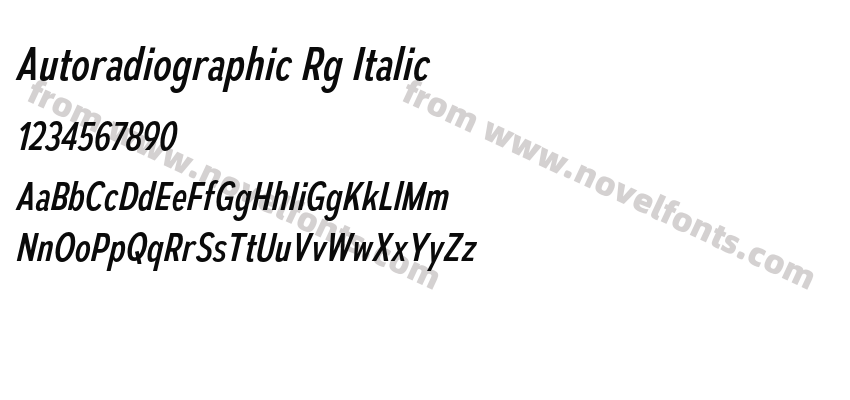 Autoradiographic Rg ItalicPreview