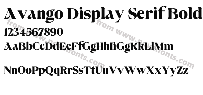 Avango Display Serif BoldPreview