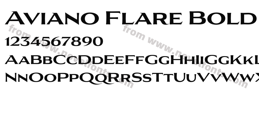Aviano Flare BoldPreview