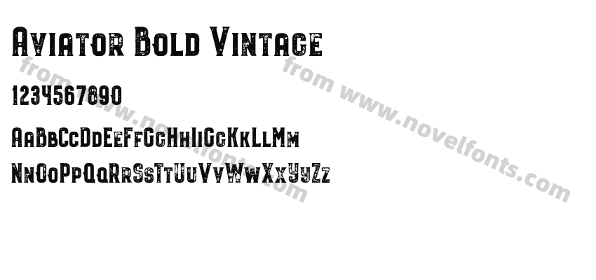 Aviator Bold VintagePreview