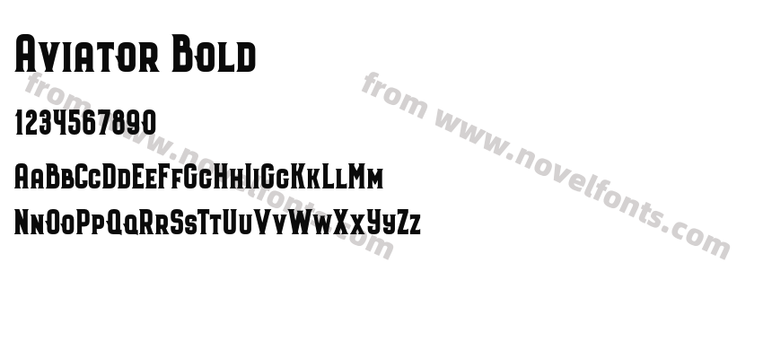 Aviator BoldPreview