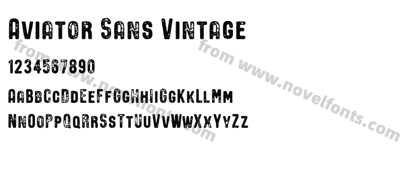 Aviator Sans VintagePreview