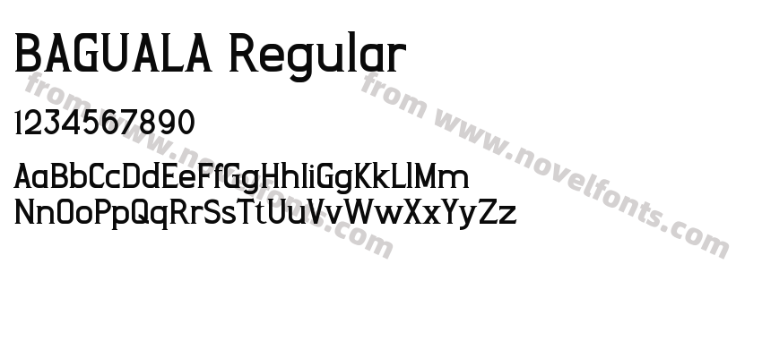BAGUALA RegularPreview