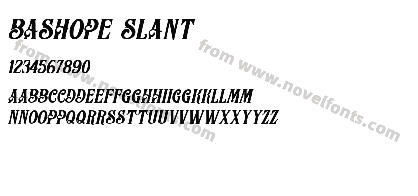 BASHOPE SlantPreview