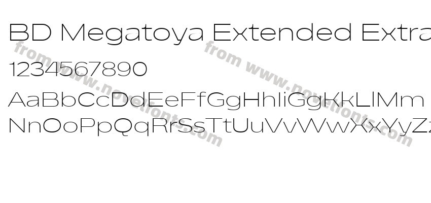 BD Megatoya Extended Extra LightPreview