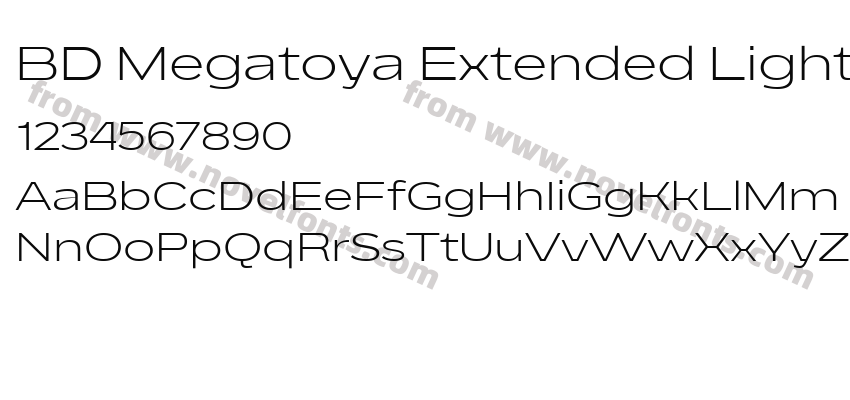 BD Megatoya Extended LightPreview