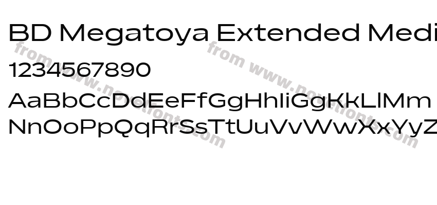 BD Megatoya Extended MediumPreview