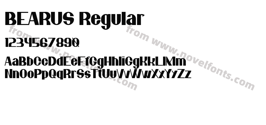 BEARUS RegularPreview