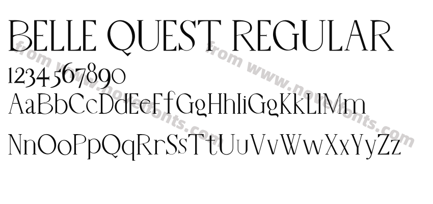 BELLE QUEST REGULARPreview