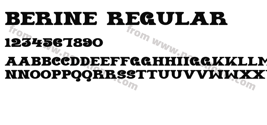 BERINE RegularPreview