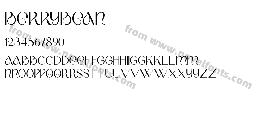 BERRYBEANPreview