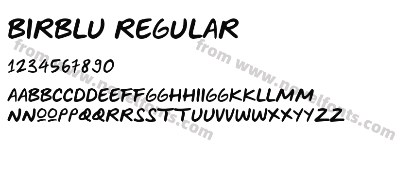 BIRBLU RegularPreview