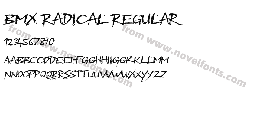 BMX Radical RegularPreview