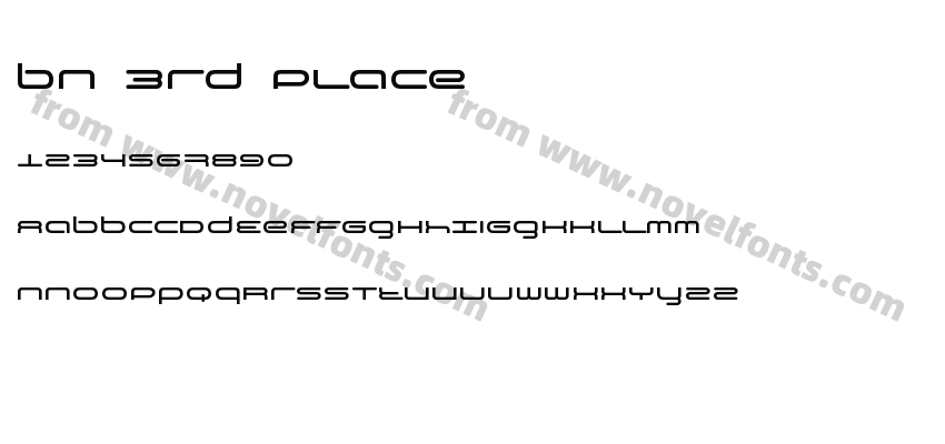 BN 3rd PlacePreview