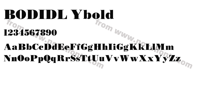 BODIDL YboldPreview