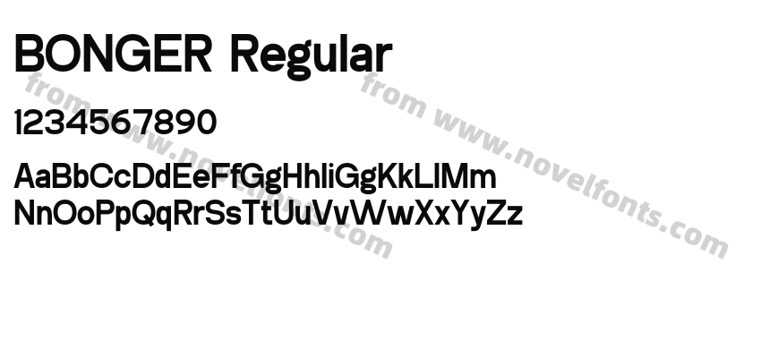 BONGER RegularPreview