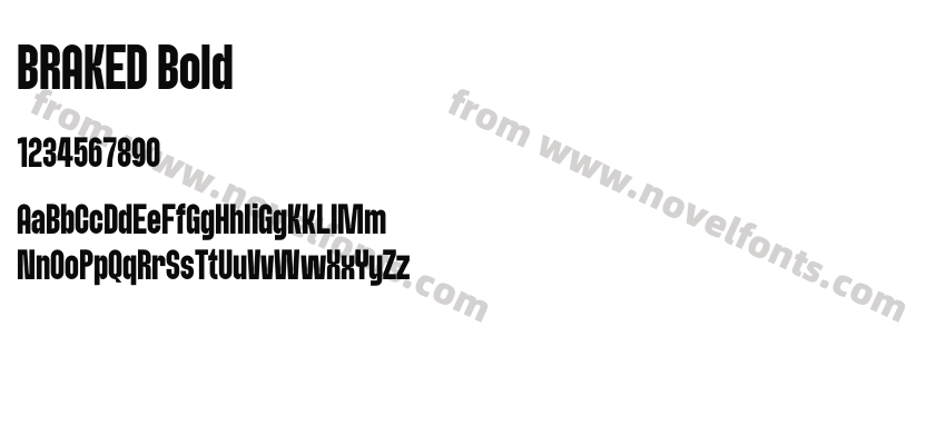 BRAKED BoldPreview