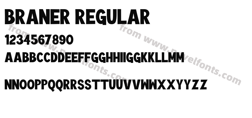 BRANER RegularPreview