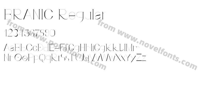 BRANIC RegularPreview