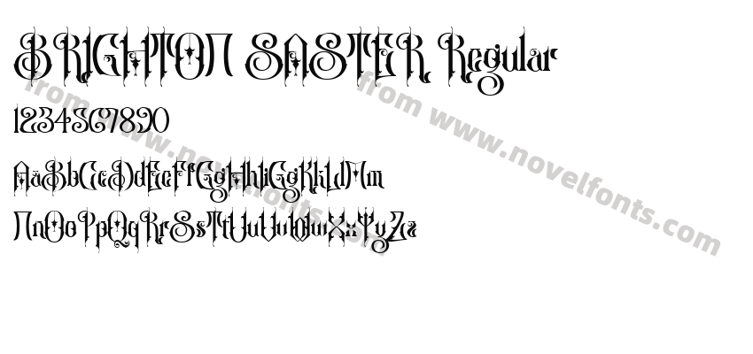 BRIGHTON SASTER RegularPreview