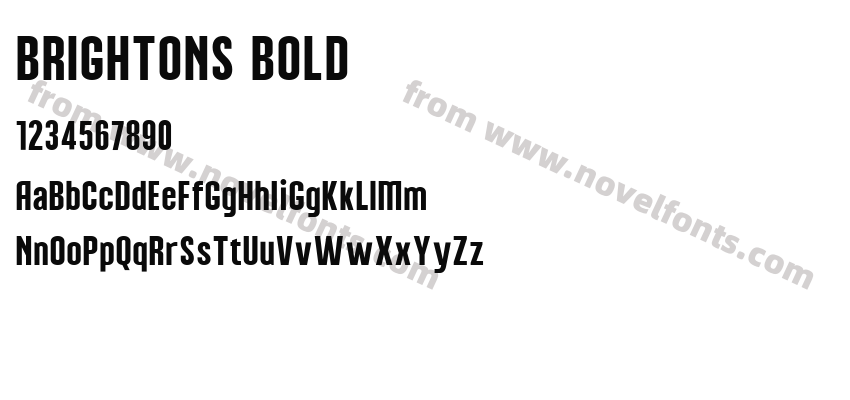 BRIGHTONS BOLDPreview