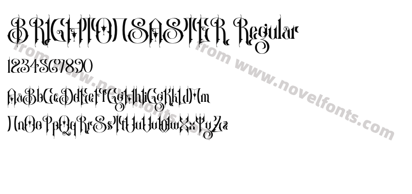 BRIGHTONSASTER RegularPreview