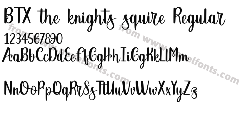 BTX the knights squire RegularPreview