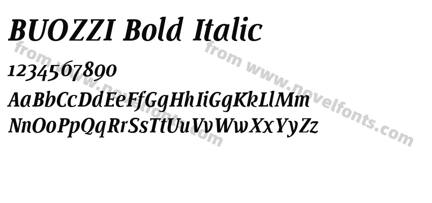 BUOZZI Bold ItalicPreview