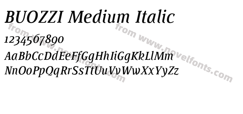 BUOZZI Medium ItalicPreview