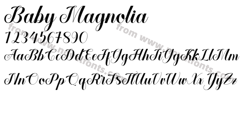 Baby MagnoliaPreview