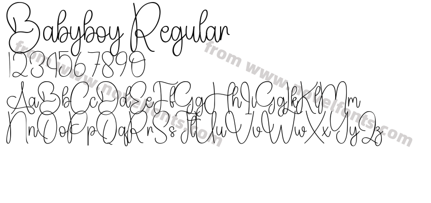 Babyboy RegularPreview