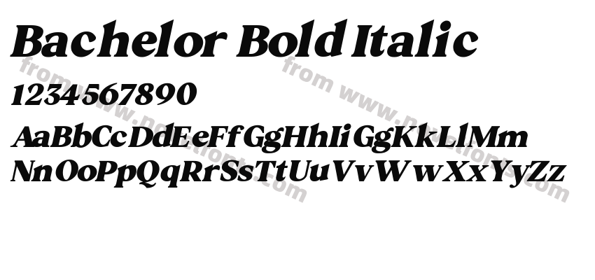 Bachelor Bold ItalicPreview